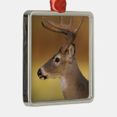 Weißschwanzhirsche, Odocoileus virginianus, Silbernes Ornament (Rechts)