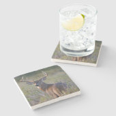Weißschwanzhirsche Odocoileus virginianus Steinuntersetzer (Seitenansicht)