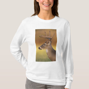 Weißschwanzhirsche, Odocoileus virginianus, T-Shirt