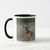 Weißschwanzhirsche Odocoileus virginianus Tasse (Links)
