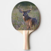 Weißschwanzhirsche Odocoileus virginianus Tischtennis Schläger (Vorderseite)