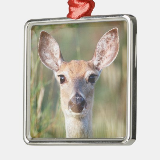 Weißschwanzhirsche Ornament Aus Metall (Links)