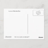 Weißschwanzhirsche Postkarte (Rückseite)