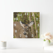 Weißschwanzhirsche Quadratische Wanduhr (Zuhause)
