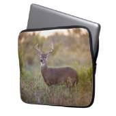 Weißschwanzhirsche | Rückgang in Texas Laptopschutzhülle (Vorderseite Links)