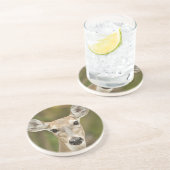 Weißschwanzhirsche Sandstein Untersetzer (Seite)