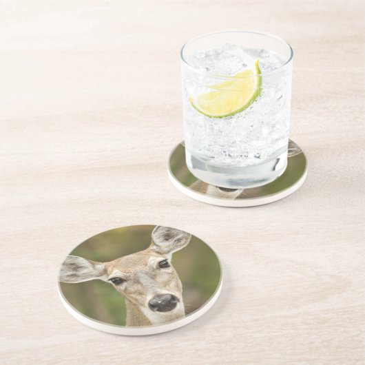 Weißschwanzhirsche Sandstein Untersetzer (Seite)