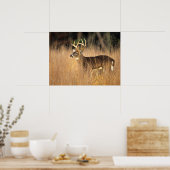 Weißschwanzhirsche | Smoky Mountains Tennessee Poster (Küche)