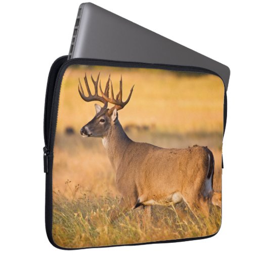 Weißschwanzhirsche | South TX Laptopschutzhülle (Vorne Rechts)