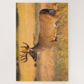 Weißschwanzhirsche | South TX Puzzle (Vertikal)