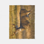 Weißschwanzhirsche | Südtexas Fleecedecke (Vorderseite)