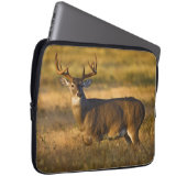 Weißschwanzhirsche | Südtexas Laptopschutzhülle (Vorne Rechts)