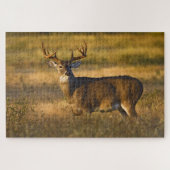 Weißschwanzhirsche | Südtexas Puzzle (Horizontal)