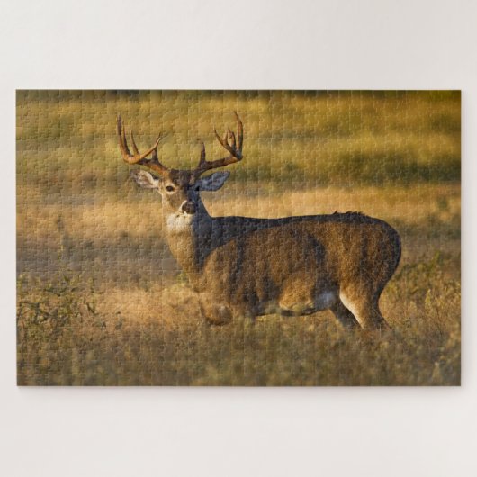 Weißschwanzhirsche | Südtexas Puzzle (Horizontal)