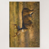 Weißschwanzhirsche | Südtexas Puzzle (Vertikal)