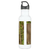 Weißschwanzhirsche Trinkflasche (Rückseite)