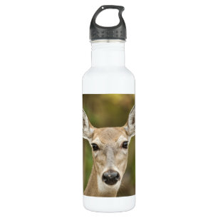 Weißschwanzhirsche Trinkflasche