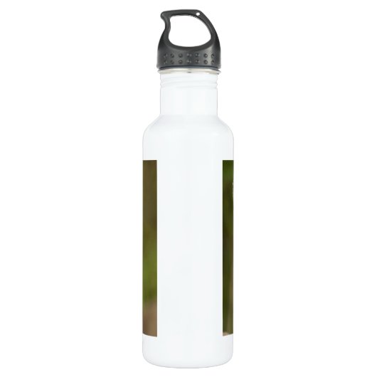 Weißschwanzhirsche Trinkflasche (Rückseite)