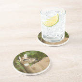 Weißschwanzhirsche Untersetzer (Seite)