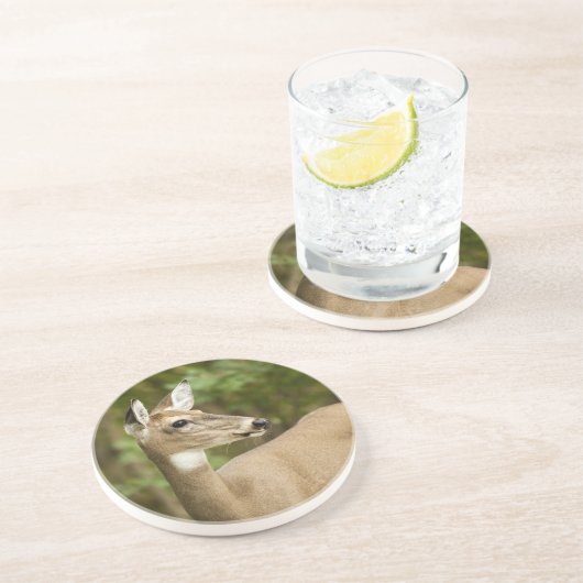 Weißschwanzhirsche Untersetzer (Seite)