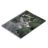 Weißschwanzhirsche | Washingtoner Staat Notizblock (Linke Seite)