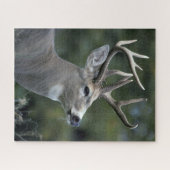 Weißschwanzhirsche | Washingtoner Staat Puzzle (Horizontal)