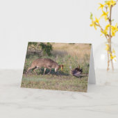 Weißschwänzige Hirsche im Kampf gegen die wilde Tü Karte (Gelbe Blume)