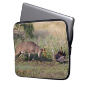 Weißschwänzige Hirsche im Kampf gegen die wilde Tü Laptopschutzhülle (Vorderseite Links)