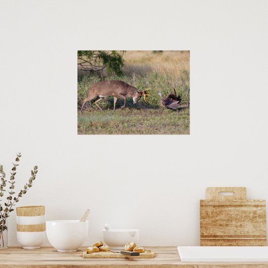 Weißschwänzige Hirsche im Kampf gegen die wilde Tü Poster (Küche)