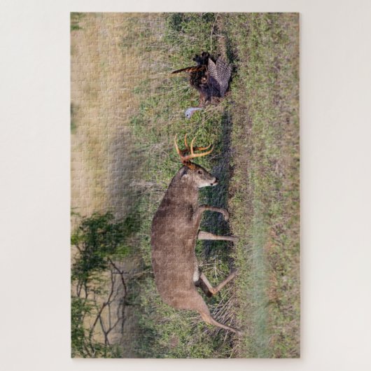 Weißschwänzige Hirsche im Kampf gegen die wilde Tü Puzzle (Vertikal)