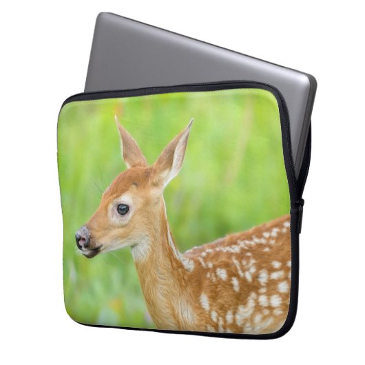 Weißschwanztier | Minnesota Laptopschutzhülle (Vorderseite Links)