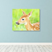 Weißschwanztier | Minnesota Leinwanddruck (Insitu (Holzboden))