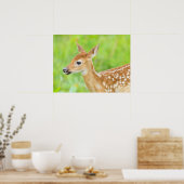 Weißschwanztier | Minnesota Poster (Küche)