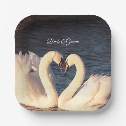 Weißschwanzwopfplatte Pappteller (Vorderseite)