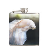 Weißsiamischer Kampffisch Flachmann (Vorderseite)