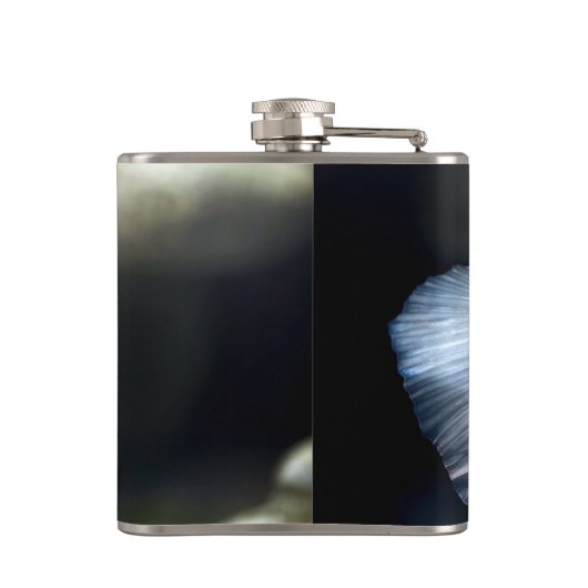 Weißsiamischer Kampffisch Flachmann (Rückseite)