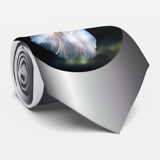 Weißsiamischer Kampffisch Krawatte (Gerollt)