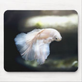 Weißsiamischer Kampffisch Mousepad (Vorne)