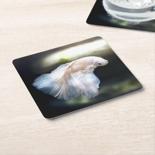 Weißsiamischer Kampffisch Rechteckiger Pappuntersetzer (angewinkelt)