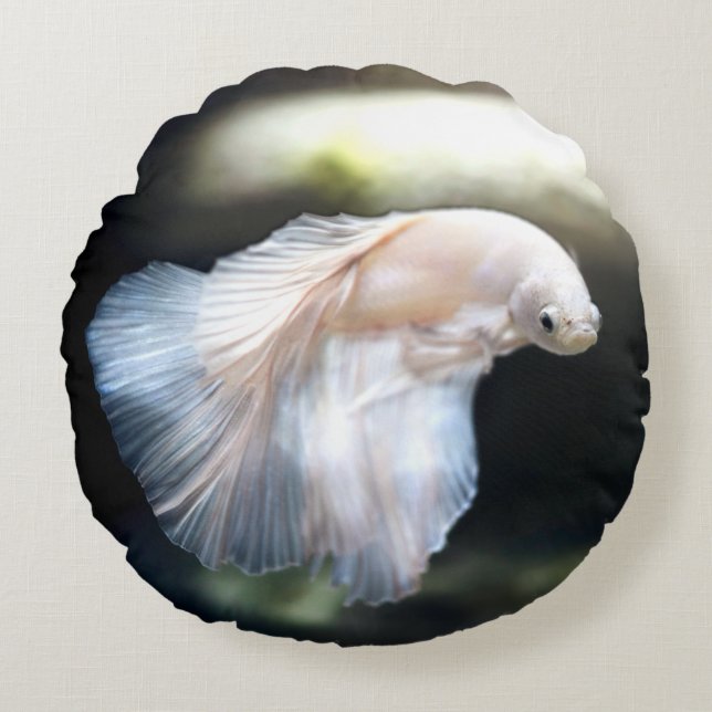 Weißsiamischer Kampffisch Rundes Kissen (Vorderseite)