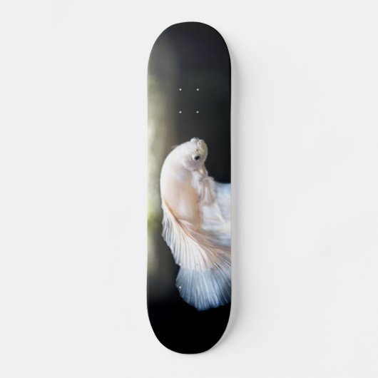 Weißsiamischer Kampffisch Skateboard (Vorderseite)
