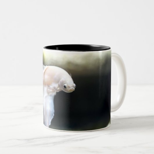 Weißsiamischer Kampffisch Zweifarbige Tasse (VorderseiteRechts)