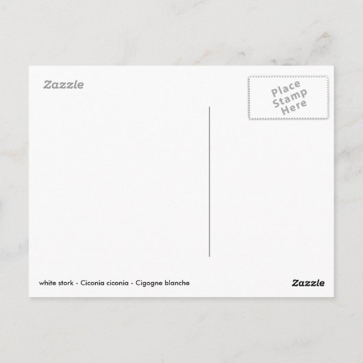Weißstorch auf Gras Postkarte (Rückseite)