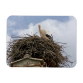 Weißstorch im Nest Magnet (Horizontal)