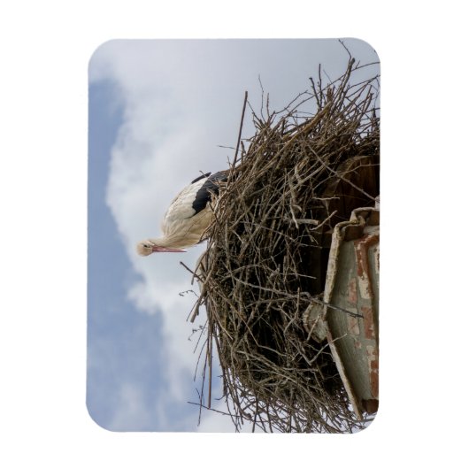 Weißstorch im Nest Magnet (Vertikal)