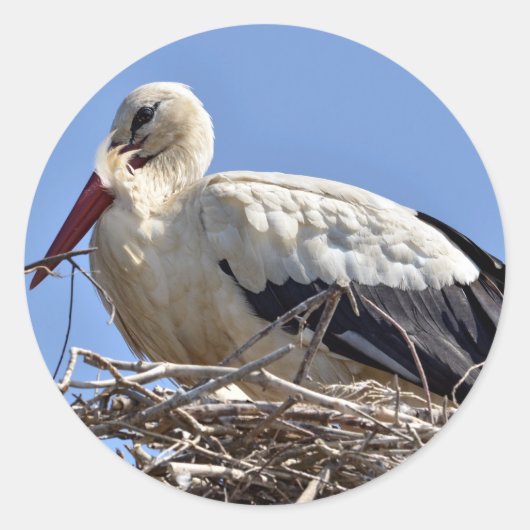 Weißstorch in seinem Nest Runder Aufkleber (Vorderseite)
