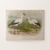Weißstorch - jung und erwachsen, Illustrationen Puzzle (Horizontal)