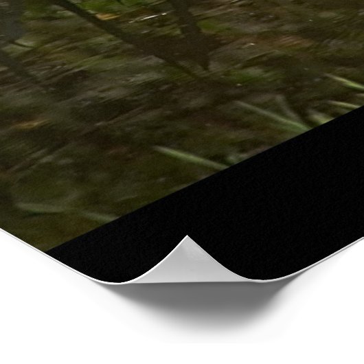 Weißstorch Poster (Ecke)