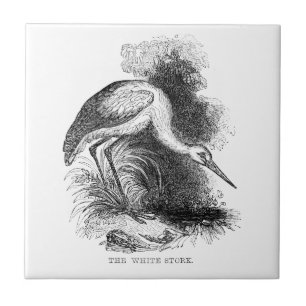 Weißstorch Vintage Vogel Wildlife Zeichnung Fliese