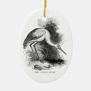 Weißstorch Vintage Vogel Wildlife Zeichnung Keramikornament